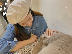 -猫友咖啡店(玉林西路店)