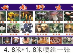 -抚仙湖老铜锅鱼(官南大道店)