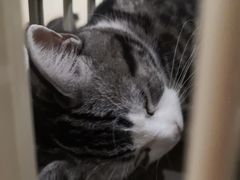 -情忆草原涮肉馆
