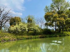 -西溪国家湿地公园