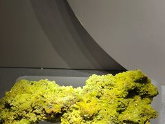 -湖南省地质博物馆