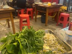 -金鼎雪山牦牛杂火锅(理县总店)