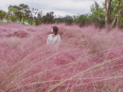 -白鹭湾湿地公园