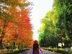 -辽宁大学(崇山校区)