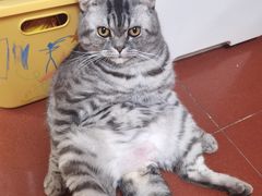 -芭比堂动物医院广州顽皮分院