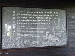 -大唐贡茶院