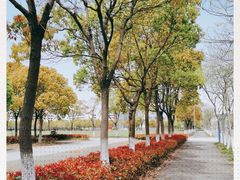 -上海海事大学(临港校区)