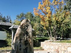 -阳台山自然风景区