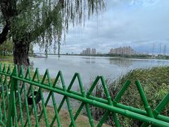-金银湖国家城市湿地公园
