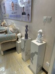 -紫洁俪方（北京）医疗美容