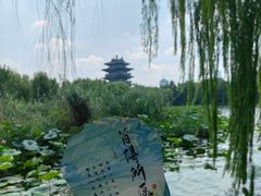 -济南大明湖景区