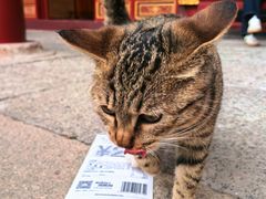 -普陀山风景名胜区-法雨禅寺