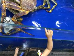 -东江海鲜酒家(艺都分店)