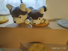 -Husky Go! 哈士奇体验馆·宠物咖啡厅狗咖