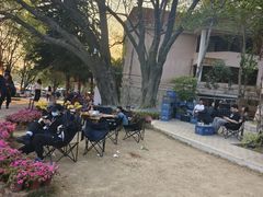 -南国桃园旅游度假区