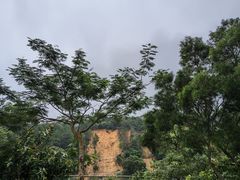 -梧桐山风景名胜区
