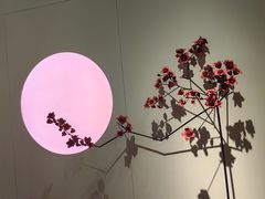 -海天盛宴新派海鲜自助餐厅(群力店)