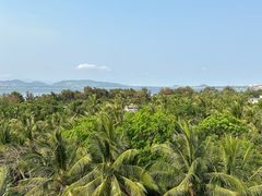 -南湾猴岛+椰田古寨一日游