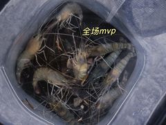 -DGE季风钓虾营地·团建·聚会
