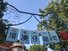 -猫咪博物馆(顶澳仔猫街店)