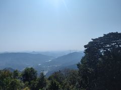 -黄埔油麻山森林公园