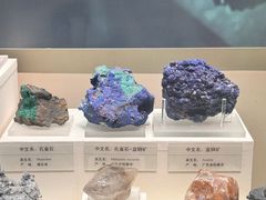 -天津自然博物馆