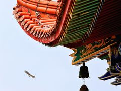 -皇罗禅寺