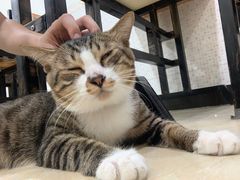 -玉椰林甜品店(创始店)