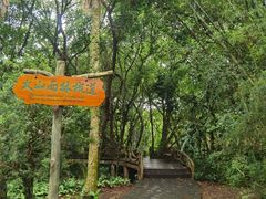 -海口火山口国家地质公园