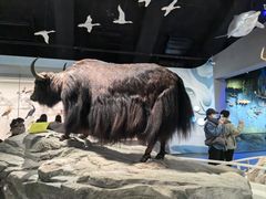 -中国湿地博物馆