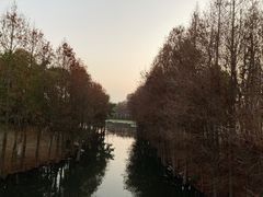 -厦门园林博览苑
