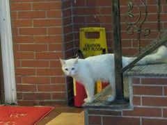 -沙湾姜撞奶甜品店(昌岗中路店)