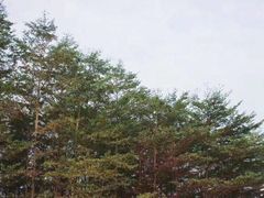 -低涌(地铁站)