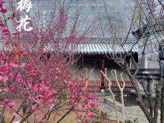 -长春观