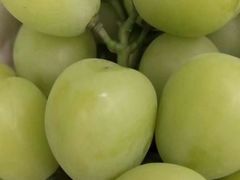 -上海龙吴水胜海发市场