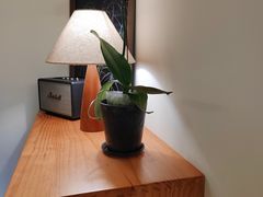 -本無咖啡·BeanWood Coffee