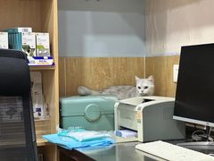 -瑞派名望24h动物医院异宠专科·猫专科·骨科·重症监护分院