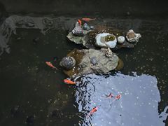 -楠溪江风景名胜区