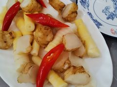 -明升萝卜汤