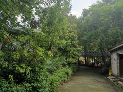 -清水湖度假村(罗浮山美食地标店)