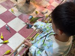 -上海大自然野生昆虫馆(东方明珠·爬宠昆虫探索中心)