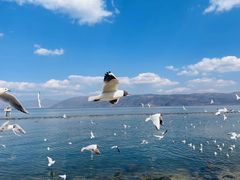 -大理洱海