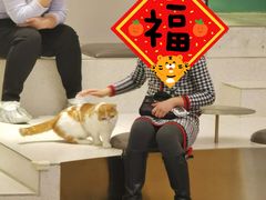 -飞行喵MR PILOT|猫舍·猫咖(静安大融城店)
