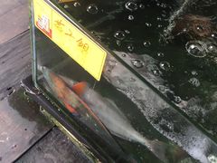 -岛中岛·海鲜大排档·万宁老字号(东澳店)
