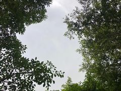 -铁路文化公园