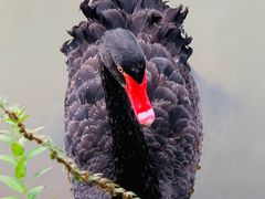 -春晖园度假酒店温泉