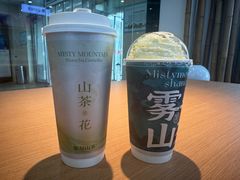 -雾与山茶(大禹城店)