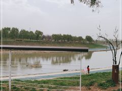 -洨河生态公园