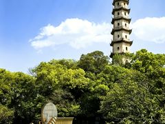 -江心屿景区