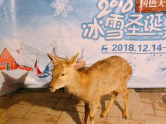 -国色天乡三期陆地乐园